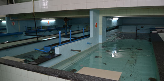 Mariscos Trelles - piscinas y criaderos piscinas de mariscos trelles